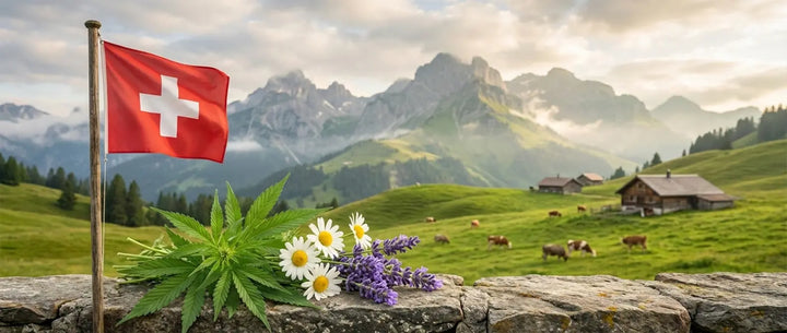 Swiss flag on a stone wall with a scenic mountain landscape and flowers.